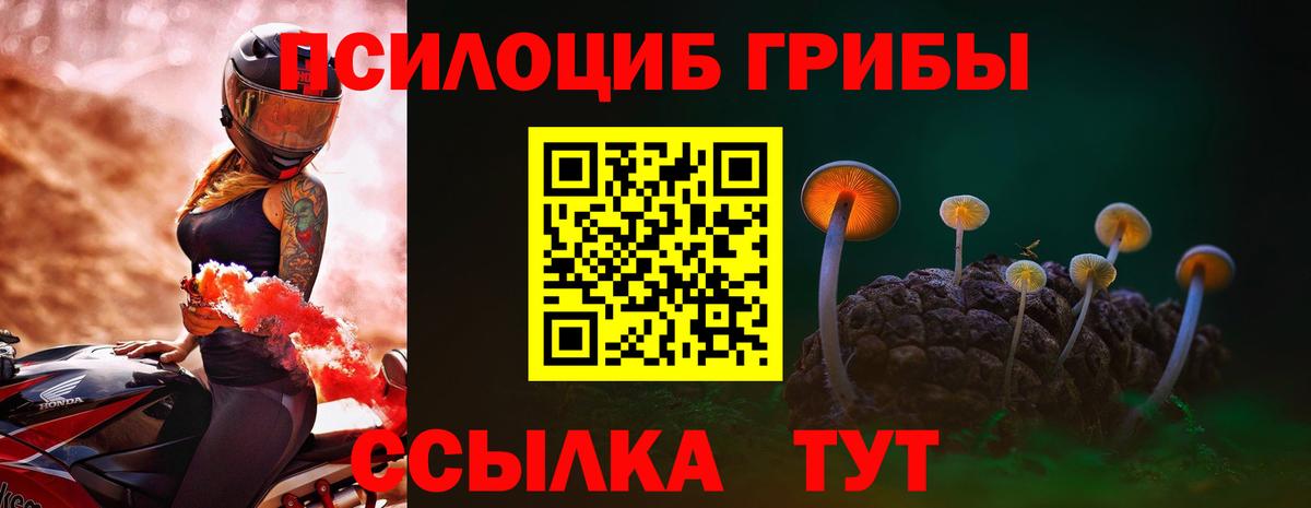Псилоцибиновые грибы GOLDEN TEACHER  Вход с VPN  где купить наркотик  Рассказово 